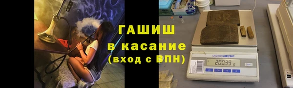 крисы Алексин