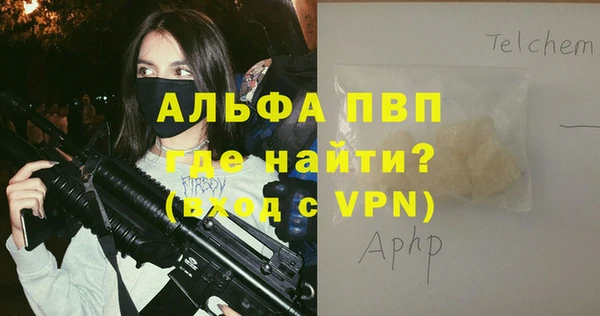 крисы Алексин