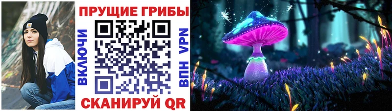 купить закладку  Сельцо  маркетплейс Telegram  Галлюциногенные грибы Psilocybine cubensis 